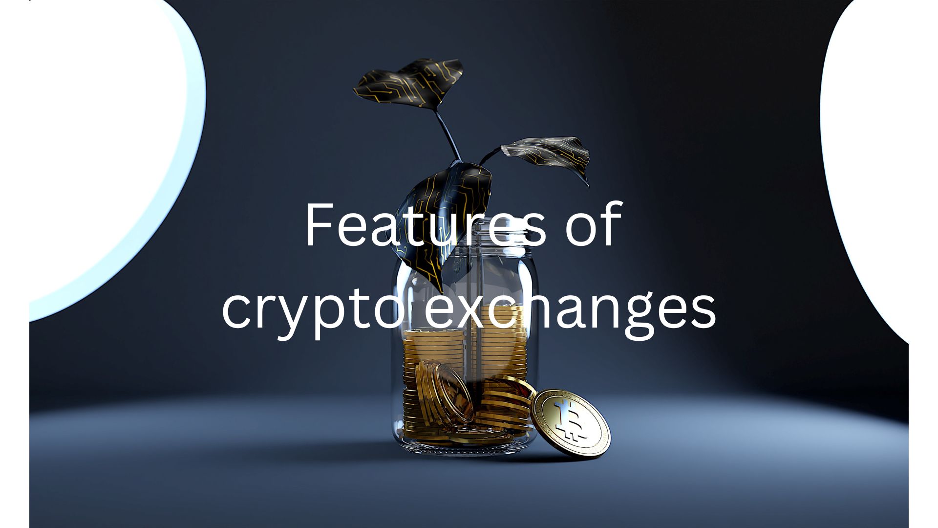 Crypto exchanges