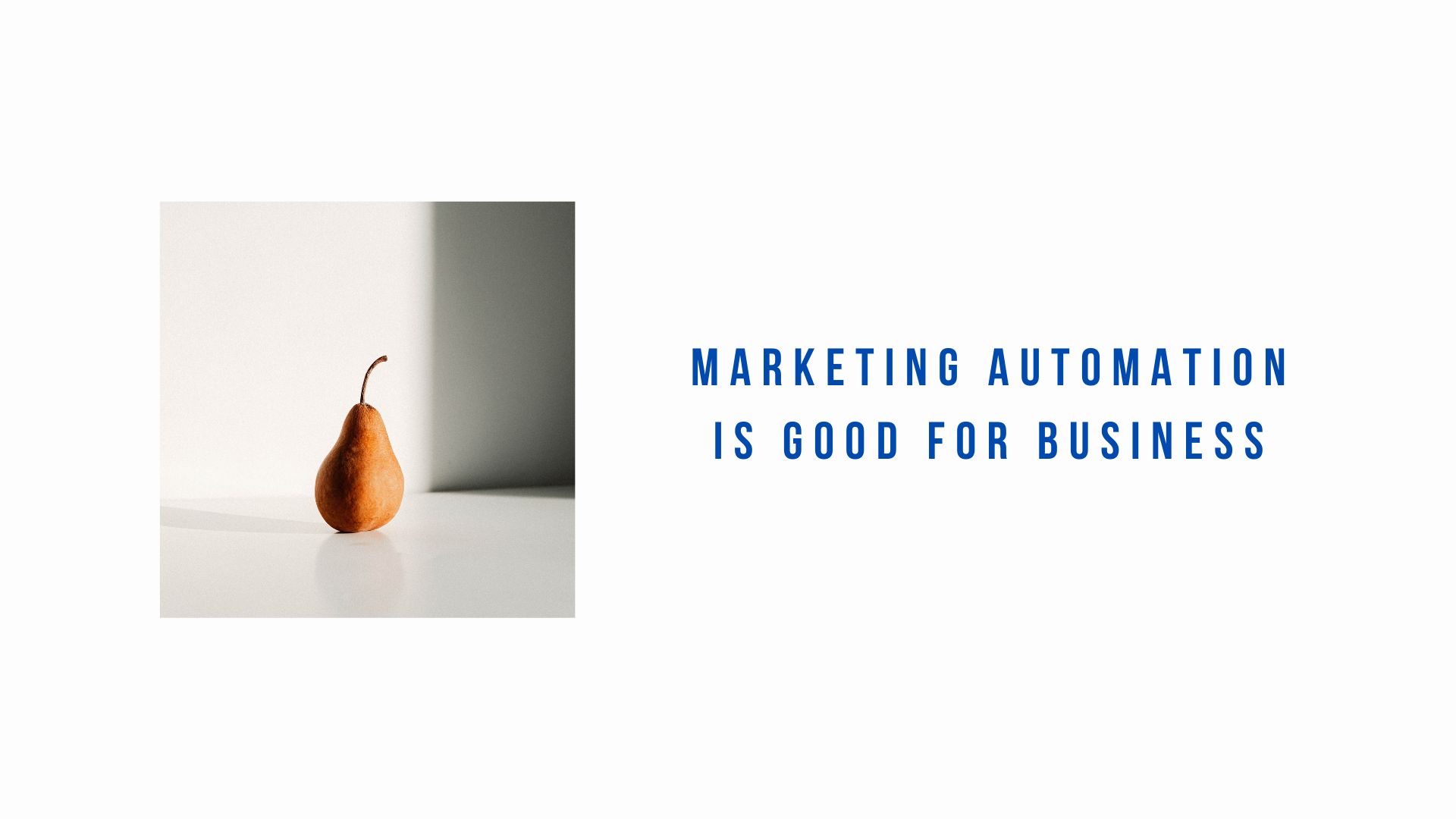 MARKETING AUTOMATION: SAVES TIME AND MONEY FOR YOUR BUSINESS